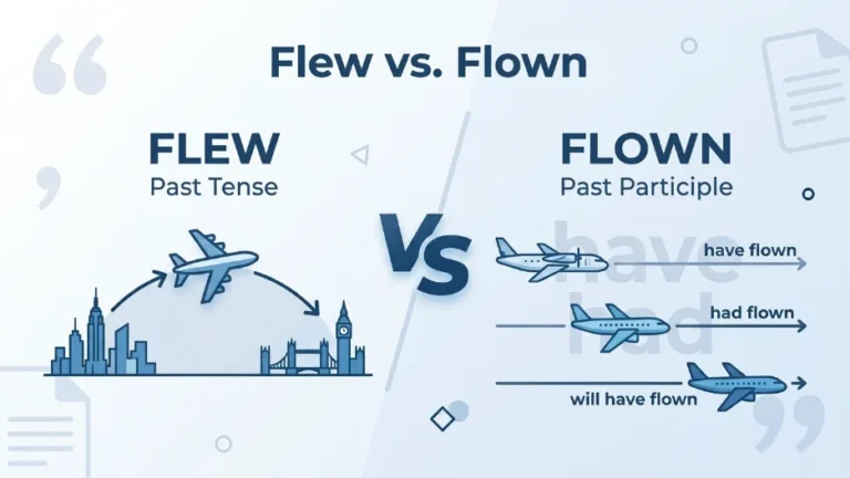 Flown or Flew