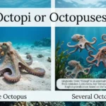 octopi or octopuses